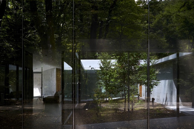 IT IS A GARDEN / ASSISTANT - Glass, Forest
